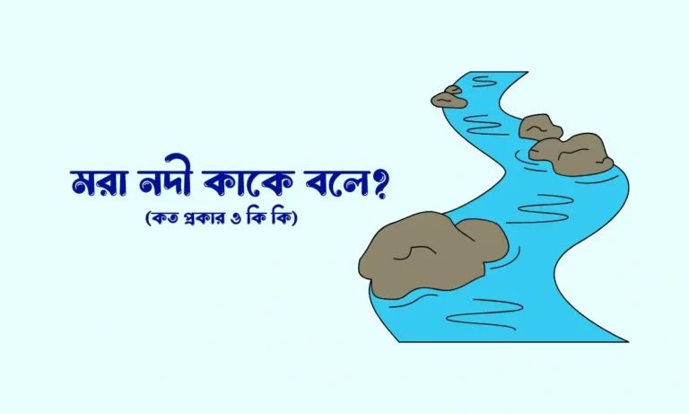 মরা নদী কাকে বলে
