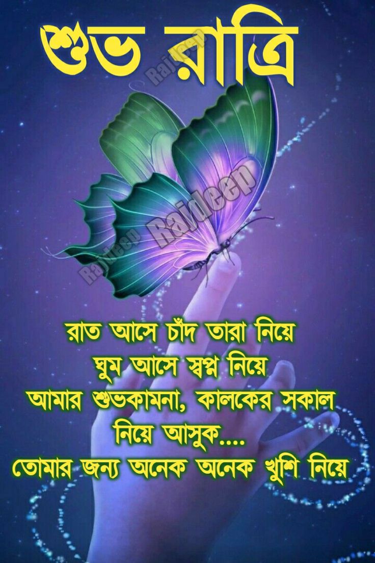 bidda bd