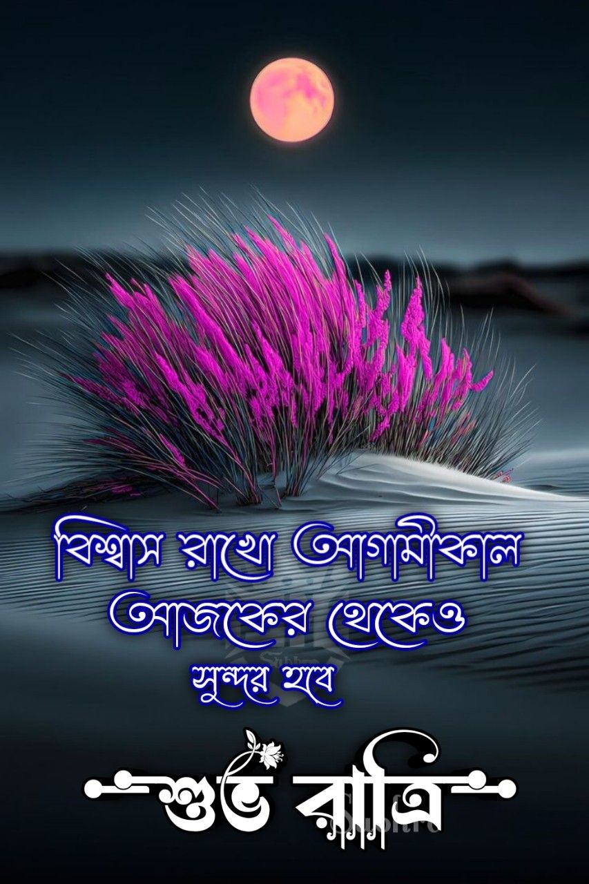 biddabd