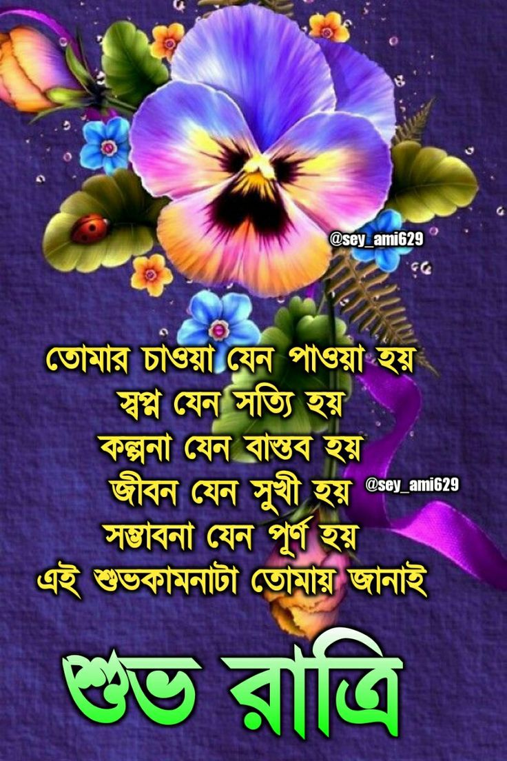 good night শুভ রাত্রি ছবি