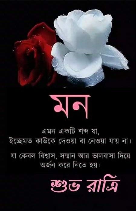 গুড নাইট রোমান্টিক পিক