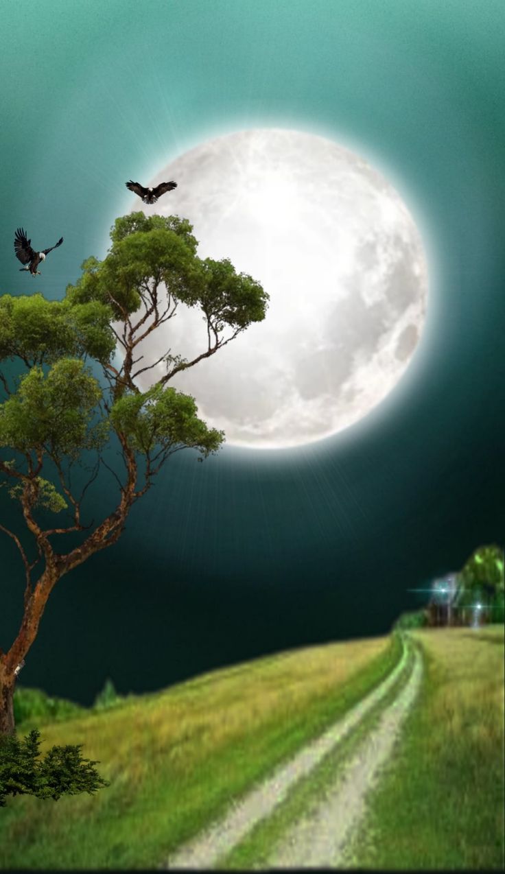 রাতের আকাশের ছবি ডাউনলোড