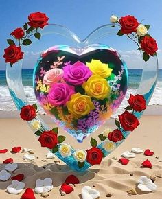 রোমান্টিক লাভ পিকচার hd