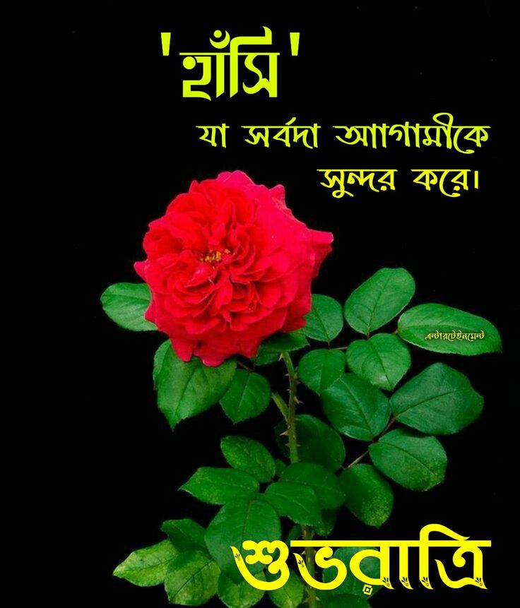শুভ রাত্রি ছবি