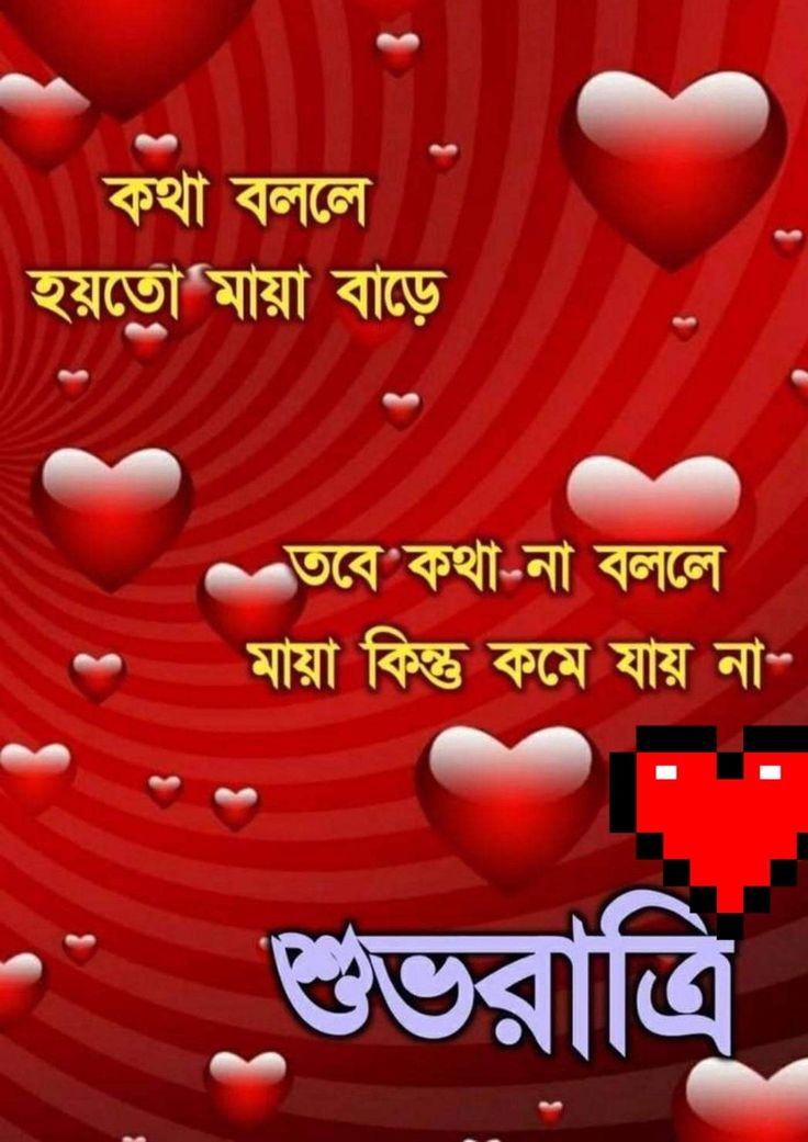 সুন্দর শুভ রাত্রি ছবি