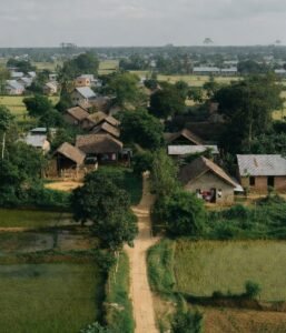 গ্রামের দৃশ্য পিকচার