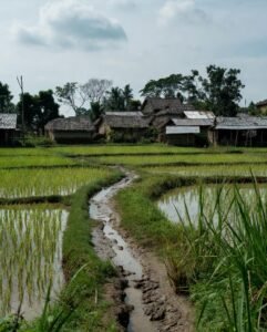সুন্দর গ্রামের দৃশ্য ছবি